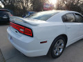 2013-dodge-charger-small-3